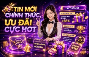 Tin tức hollyknipp